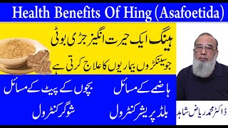 Asafoetida Powder Health Benefits  Heeng Benefits Urdu Hindi  Heeng Ky Fayde [upl. by Antony]