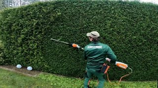 ThujaheckeFormschnitt Pflegeschnitt im frühjahrDer Frühjahrsschnitt im Garten Stihl [upl. by Redliw]