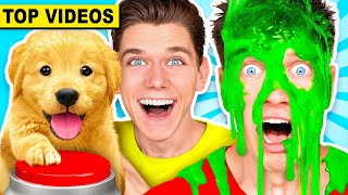 FUNNIEST Mystery Slime Challenges vs DOGS Learn How To Make The Best DIY Orbeez Game  Collins Key [upl. by Torto]