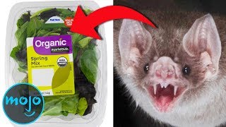 Top 10 Most Horrifying Food Recalls You Need to Know About [upl. by Hashimoto]