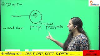 Entamoeba histolytica Morphology Life cycle in hindi PathogenicityLab diagnosis [upl. by Iredale]