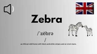 how to pronounce Zebra CorrectlyBritish Accent [upl. by Oiretule405]