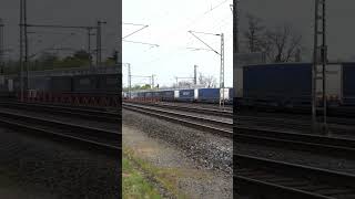 Starker Verkehr in 1 Minute  Hectorrail mit Trailer  AME Vectron solo  146 mit Metronom train [upl. by Baptlsta]