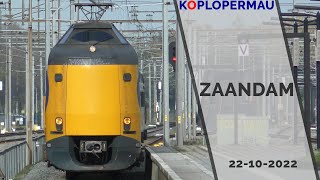 Treinen en Koplopers op station Zaandam  22 oktober 2022 [upl. by Betthel161]