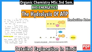 The Hydrolysis Of ATP  BioEnergetics  Organic Chemistry  MSc3rd SemNotes  msc mscnotes [upl. by Mcintosh]