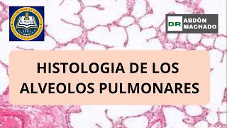 Histologia de los Alveolos Pulmonares [upl. by Ikkim]