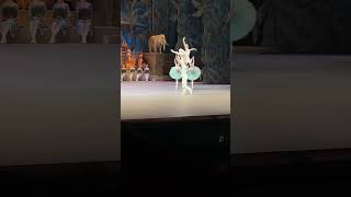 «Баядерка» Владислав Лантратов Маргарита Шрайнер bolshoiballet dance балет [upl. by Rossuck]