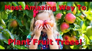 How to Plant Prune and Irrigate Fruit Trees EVERYTHING YOU NEED TO KNOW [upl. by Ellesij]