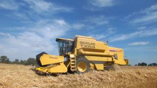 Moisson 2017 avec New holland TX 64 [upl. by Ahtram]