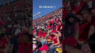 Arizona Wildcats Football football arizona [upl. by Annawak294]