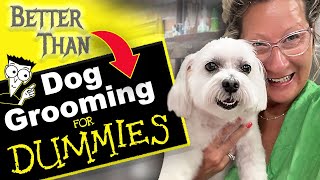 Dog Grooming Steps for Dummies [upl. by Nitaf]