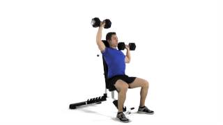 Alternate seated dumbbell shoulder press with backrest [upl. by Eerdua]