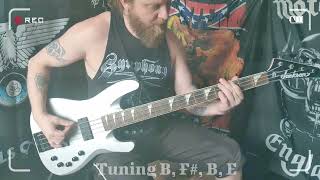 Gatecreeper  Puncture Wounds Bass cover [upl. by Hugon354]