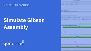 How to Simulate Gibson Assembly with Geneious Prime [upl. by Leiba21]