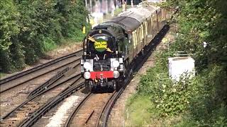 35028 Clan Line at Ravensbourne [upl. by Notrab]