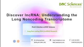 Long Noncoding RNA lncRNA  Discover lncRNA  Visualize the Fascinating Roles of lncRNA [upl. by Aneetsyrk]