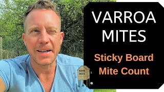 How To Check For Varroa Mites  Sticky Board Mite Count [upl. by Osnohpla]