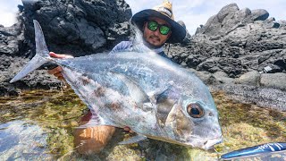 What Did I Just Catch Landbase Fishing in Samoa Catch and Cook [upl. by Annah]