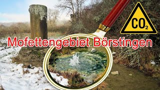 Naturschauspiel Kohlensäurequellen  Mofettengebiet Börstingen [upl. by Airednaxela]