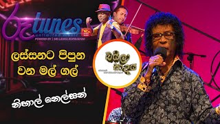 Lassnata Pipuna  ලස්සනට පිපුන වන මල් ගල්  Nihal Nelson  Baila Sadaya [upl. by Irovi669]