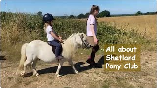 All about Shetland Pony ClubTV episode 473 [upl. by Jegar]