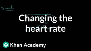 Changing the heart rate  chronotropic effect  NCLEXRN  Khan Academy [upl. by Hearn]