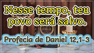 PROFECIA DE DANIEL 1213 COM REFLEXÃO [upl. by Weider]