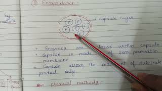 Enzyme Immobilization [upl. by Enra239]