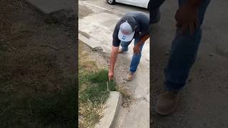 concrete curb repair [upl. by Akcebar]