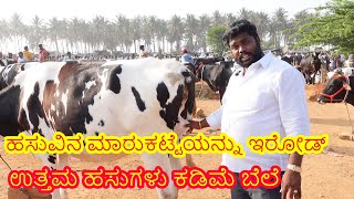 ಈರೋಡ್ ಹಸು ಮಾರುಕಟ್ಟೆ  ಉತ್ತಮ ಹಸುಗಳು ಕಡಿಮೆ ಬೆಲೆ Tamil Nadu cow market low cost cow [upl. by Cia]