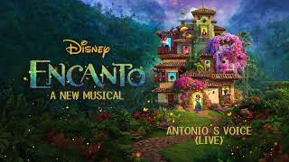 Antonio’s Voice Live Encanto A New Musical [upl. by Anneuq]