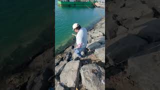 സാഫി ഫിഷിങ്  Safi Fishing  Fishing Day  Shrimp Fishing  N3U vlog  NAUFAL KODUVALLY [upl. by Terrie]