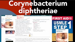 Corynebacterium diphtheriae in HindiUrdu by first aid for USMLE step 1 [upl. by Magena173]