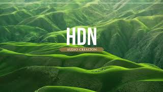 Track jincheng zhang INSTRUMENTAL  No Copyright  HDN audio creación [upl. by Marciano]