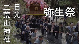 満開の桜と弥生祭 MidAprilNikko Yayoi Festival [upl. by Anairdna]