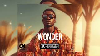 AFRO x Dancehall instrumental WONDERRuger x SPICE x popcaan typebeat2024 [upl. by Norwood]