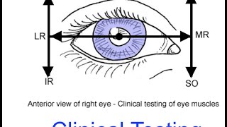 Clinical testing extraocular muscles tutorial [upl. by Esidarap]