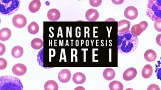 🩸SANGRE y HEMATOPOYESIS  Parte I [upl. by Patrizius]