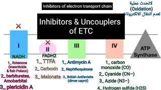 Inhibitors amp Uncouplers of electron transport chain and oxidative phosphorylation metabolism [upl. by Strep]