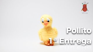 1ª Entrega Cómo hacer un Pollito en la técnica Amigurumi [upl. by Emaj921]