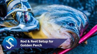 Rod amp Reel Setup for Golden Perch [upl. by Tlevesoor682]