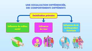 SES 1re  Chapitre 6  Comment la socialisation contribuetelle à expliquer les différences [upl. by Sethrida]