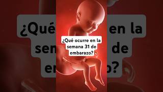 🤔 ¿Qué ocurre en la semana 31 de embarazo 🤰 Síntomas y desarrollo del bebé [upl. by Aubyn]