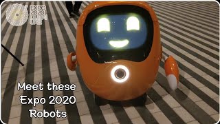 INTERACTING with EXPO 2020 DUBAI ROBOTS  Expo Series PART 3  Naaz [upl. by Shull]