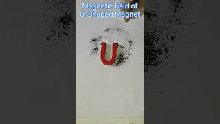 Magnetic field of UShaped Magnet [upl. by Nnawaj718]