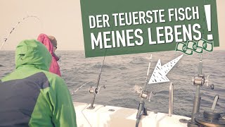 Der teuerste Fisch meines Lebens  Schleppangeln auf der Ostsee [upl. by Castra]