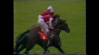 1987 Gimcrack Stakes Reprimand Includes Replay [upl. by Usanis551]