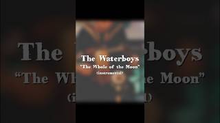 The Waterboys  quotThe Whole of the Moonquot 1985 instrumental cover [upl. by Poul]