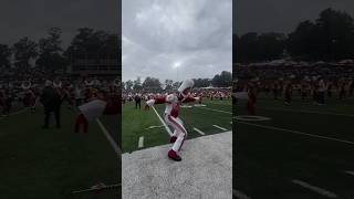 Tuskegee University Marching Crimson Pipers Drum Major❤️💛🐅💛❤️🐅 [upl. by Bettzel180]