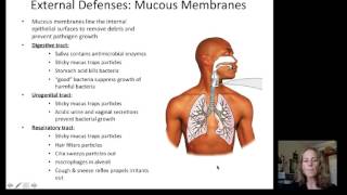 Lecture 19 Immune System [upl. by Montford]